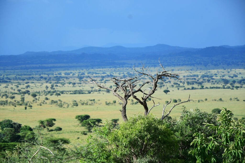 Kidepo Valley National Park bezoeken? » Habari Travel