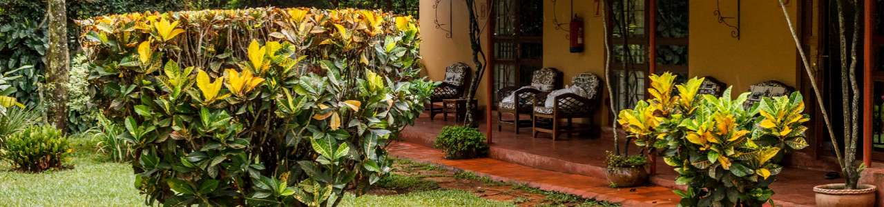 Airport Guesthouse Entebbe Airport Guesthouse Entebbe