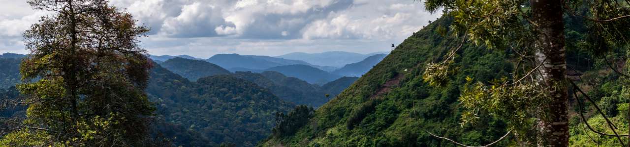 Bwindi Impenetrable National Park Bwindi Impenetrable National Park