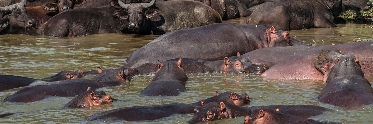 Habari Travel Safarireizen Habari Travel Safarireizen