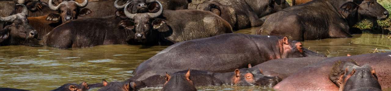 Queen Elizabeth National Park Queen Elizabeth National Park