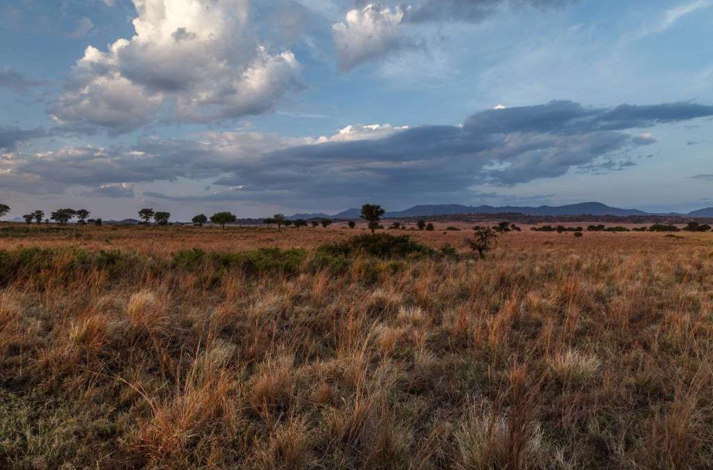 Kidepo Valley Nationalpark jetzt inklusive