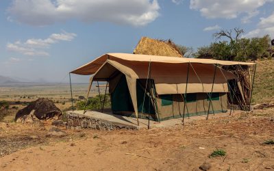 Kidepo Savanna Lodge