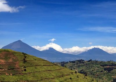 Die ugandische Seite der Virunga Vulkane: Muhavura, Gahinga und Sabinyo (v.l.n.r.)