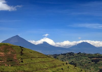 Blick auf die Virunga Vulkane
